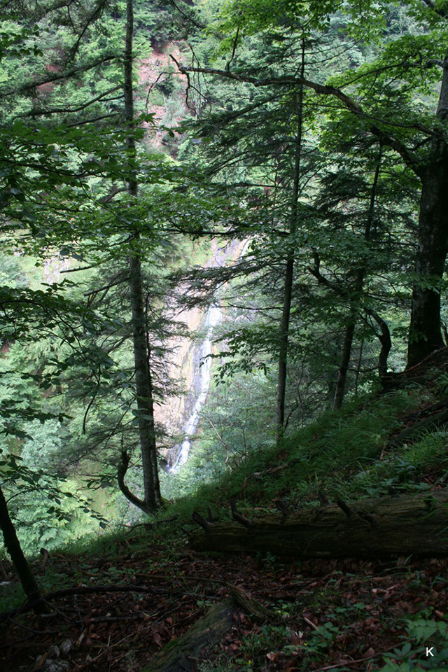 2011-0708-298