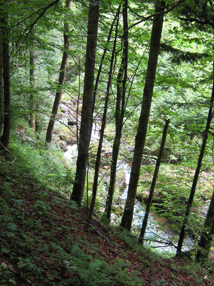 2011-0708-303
