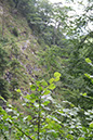 2011-0708-301